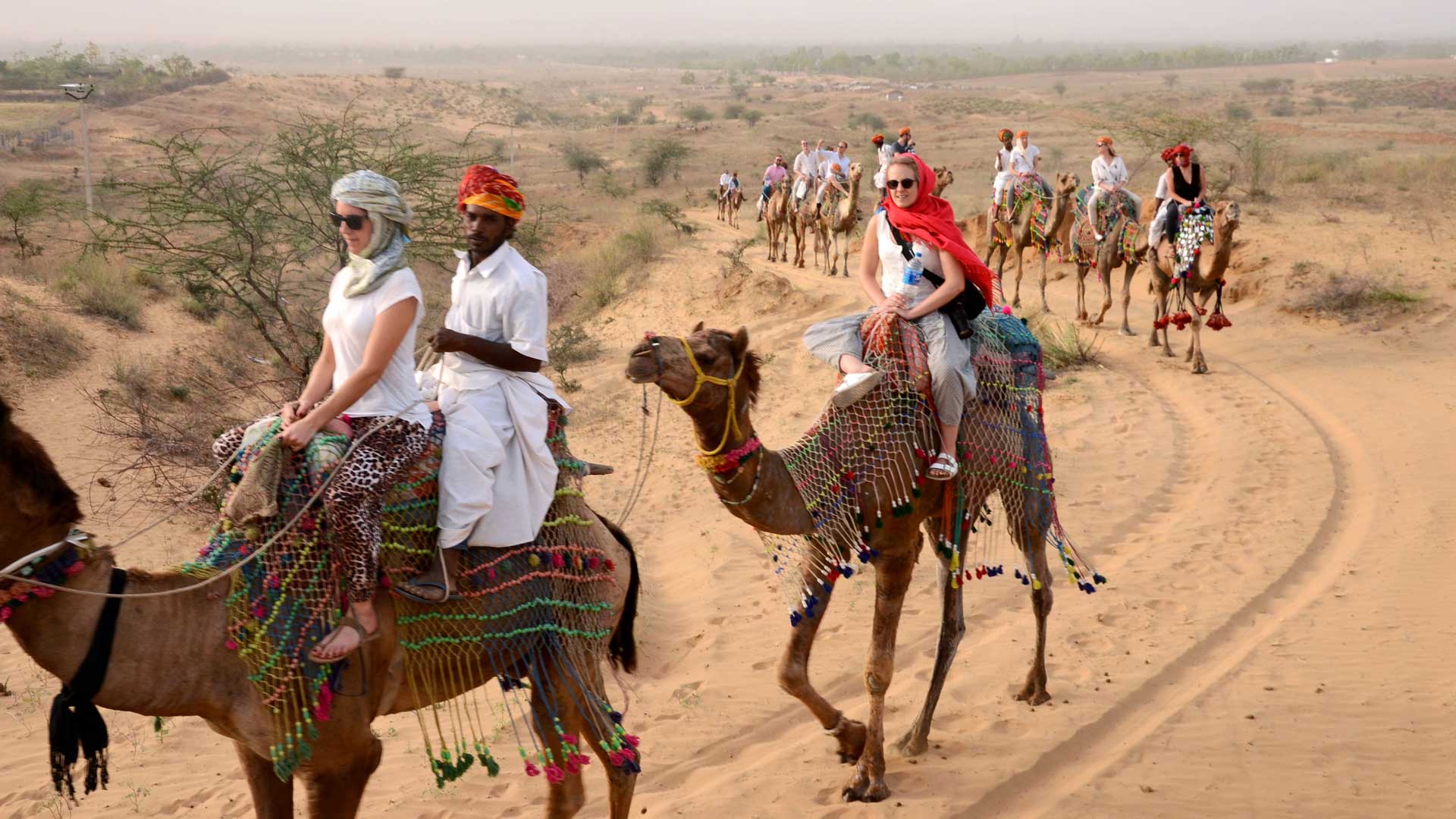 Desert Safari